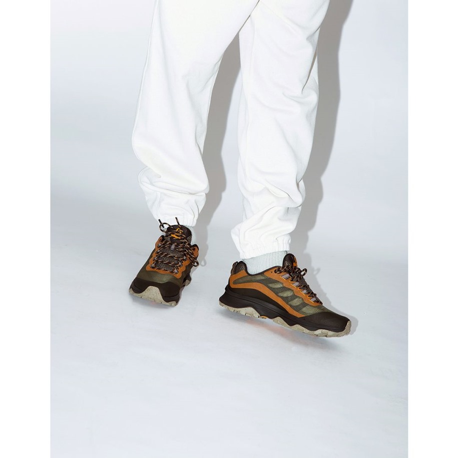 Merrell Lichen Menns Moab Fart