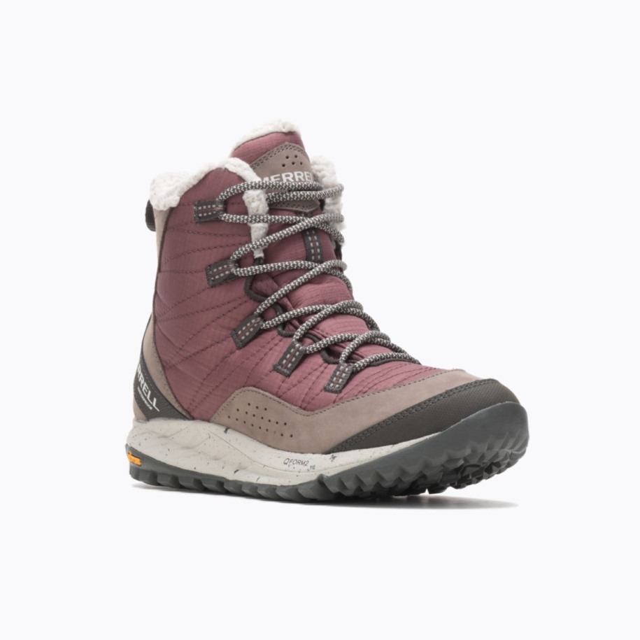Merrell Marron Dame Antora Joggesko Vanntett