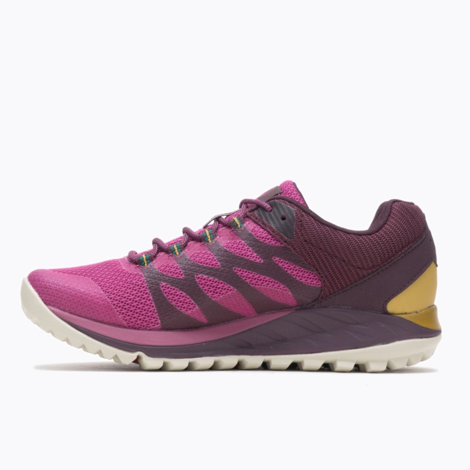 Kvinners Antora 2 Gore-tex Fuschia Merrell